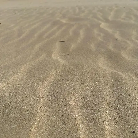 Passat12 Солнечный берег