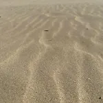 Passat12 Sunny Beach