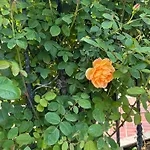 Apartament Passat12 *