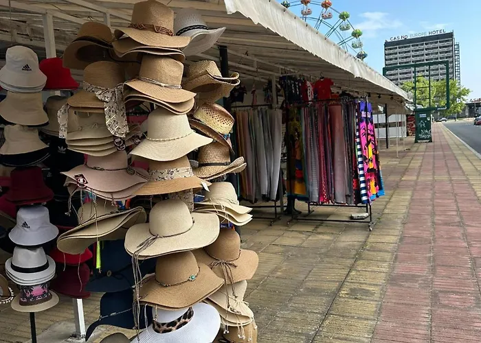 Passat12 Sunny Beach