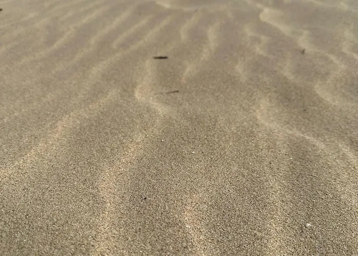 Passat12 Sunny Beach