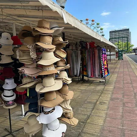 Passat12 Sunny Beach