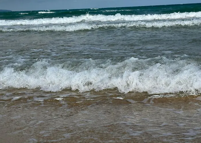 Lejlighed Passat12 Sunny Beach